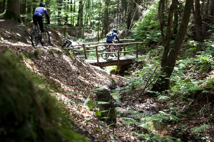 218ceda4b19563dc36cd9412507777984802139c